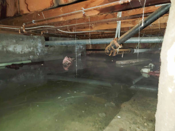 Best Fire Damage Restoration  in Morristown, TN