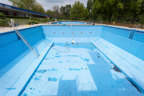 Best Basement water damage restoration  in Morristown, TN