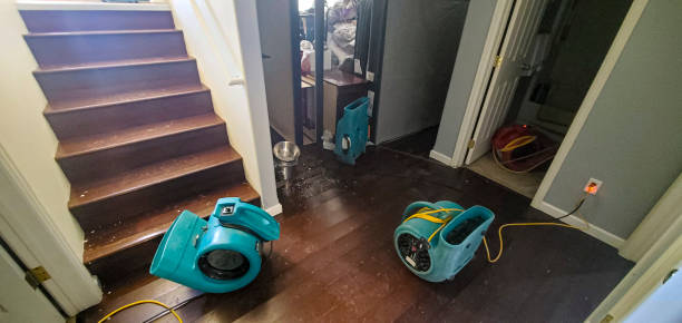 Best Flood restoration services  in Morristown, TN