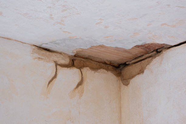 Best 24-hour water damage restoration  in Morristown, TN