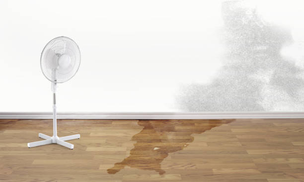 Best Flooded house restoration  in Morristown, TN