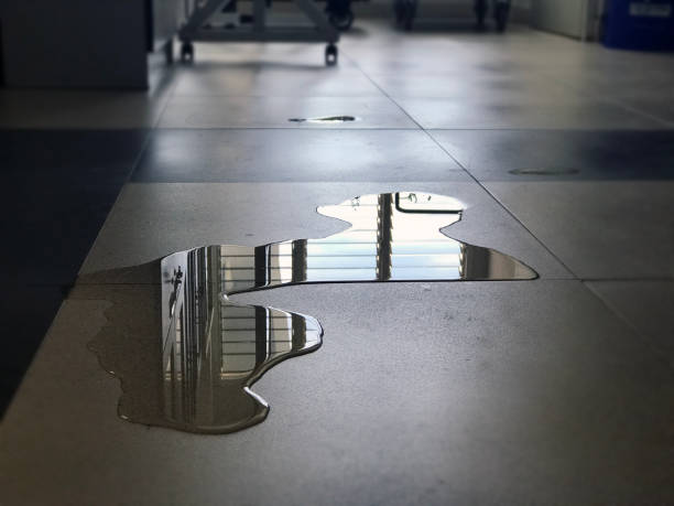 Best Professional water damage repair  in Morristown, TN