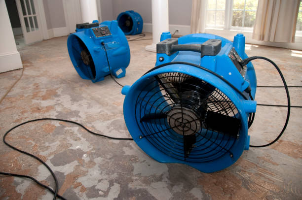 Best Flood damage cleanup  in Morristown, TN