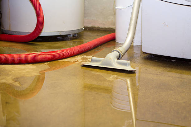 Water damage restoration experts in TN