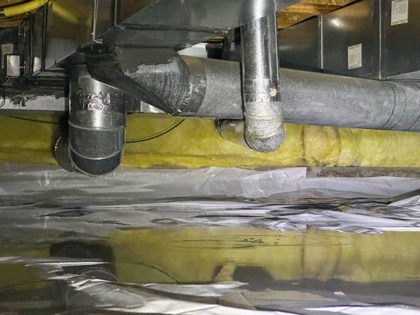 Best Water damage contractors near me  in Morristown, TN